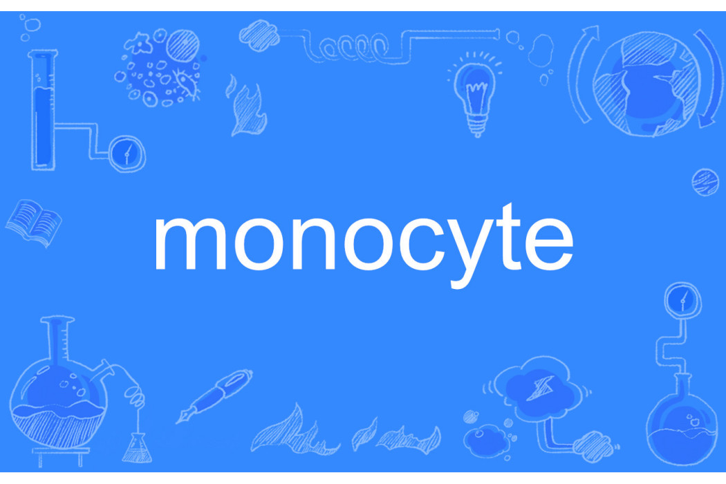 monocyte