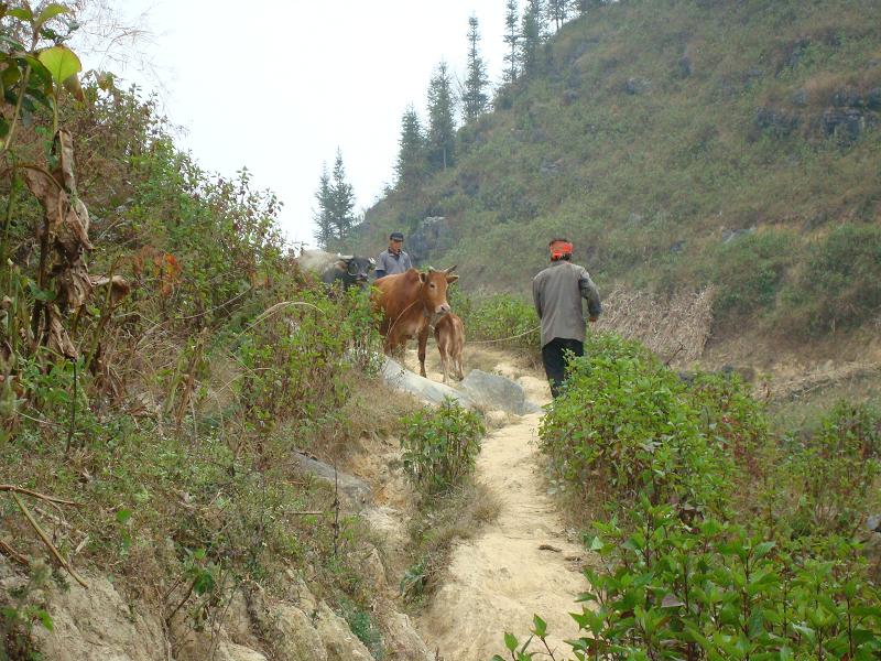 灣子自然村(雲南省文山縣開化鎮灣子自然村)