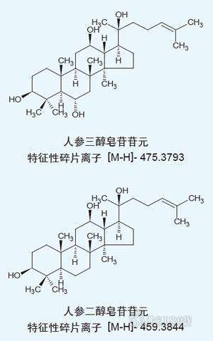 人參的有效成分