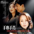 手心手背(2002年何琳主演電視劇)