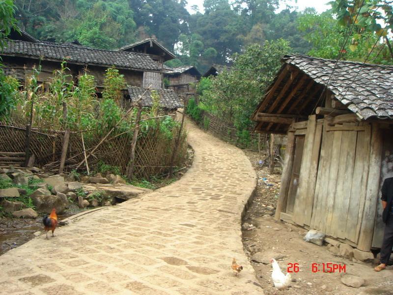 板膽自然村基礎設施-村內道路