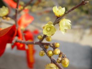 靈渡寺