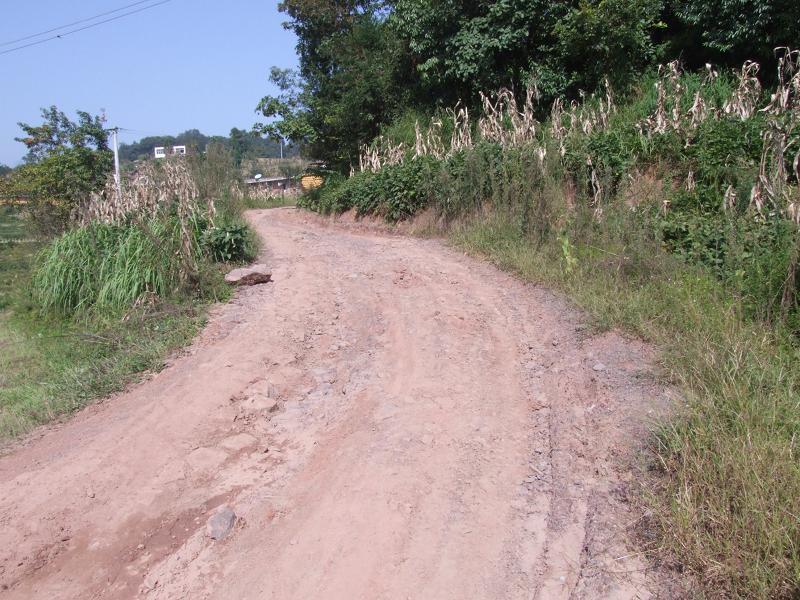 田竹自然村