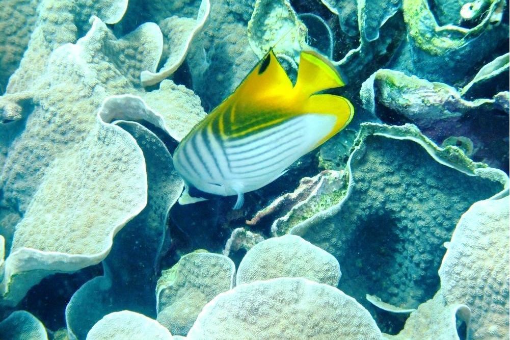 麗水水族館