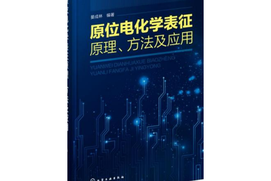 原位電化學表征原理、方法及套用