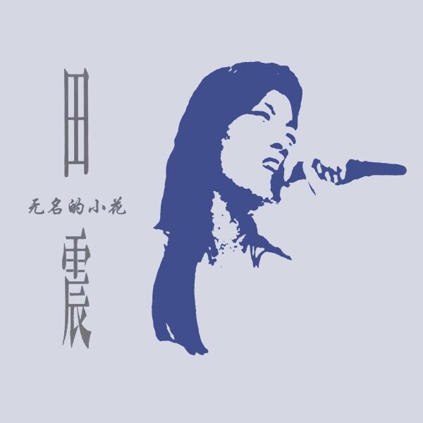 無名的小花(田震演唱歌曲)