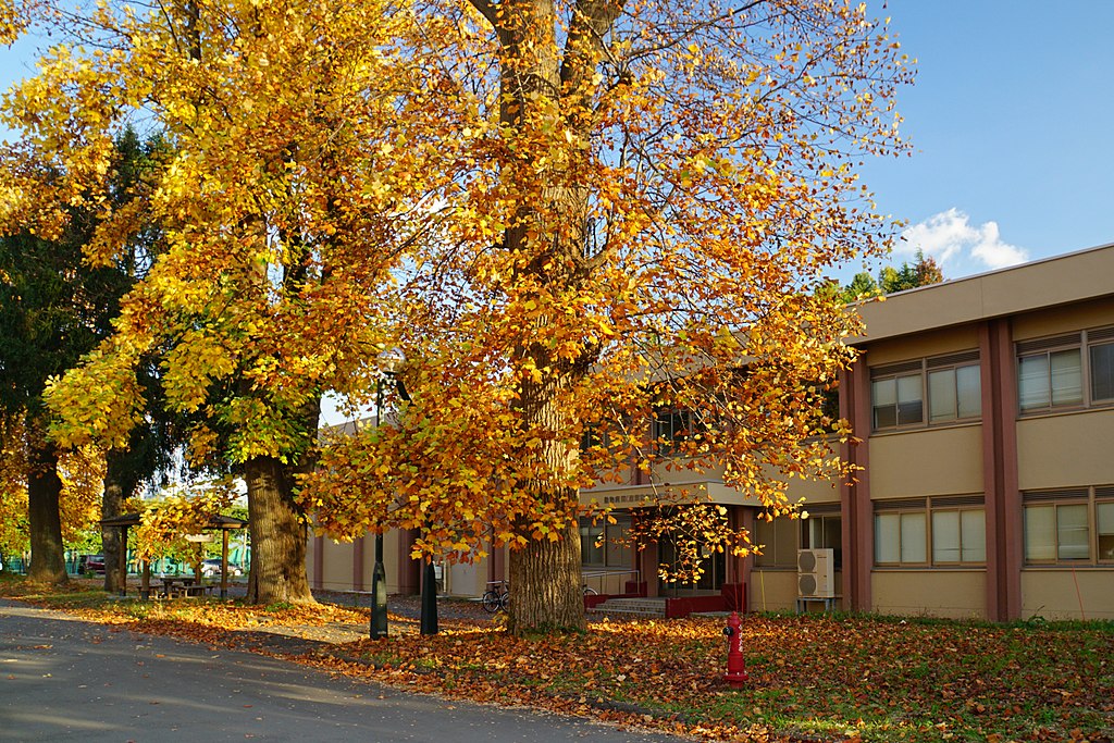 岩手大學(日本岩手大學)