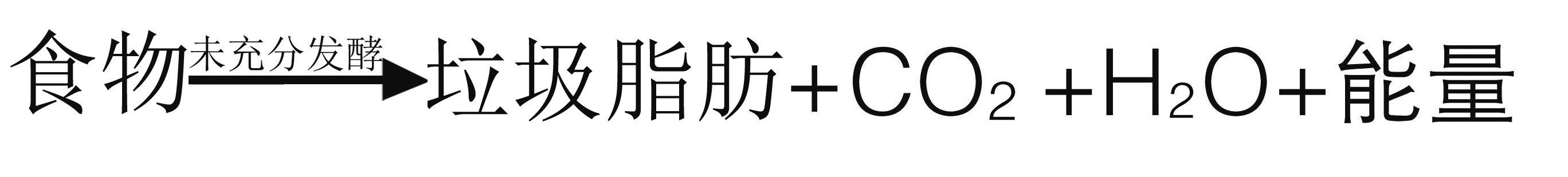 脂肪發酵素不充足