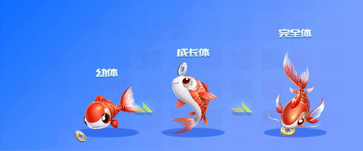 小鯉魚