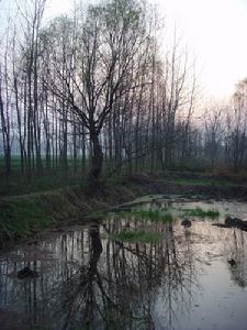 荒湖農場風景