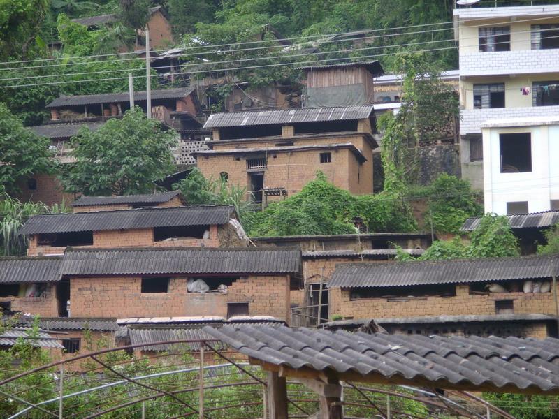 巴龍村(雲南省紅河州綠春縣三猛鄉桐株村委會轄村)