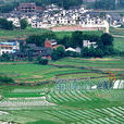 分水嶺鎮(分水嶺鄉（四川瀘州市江陽區分水嶺鄉）)