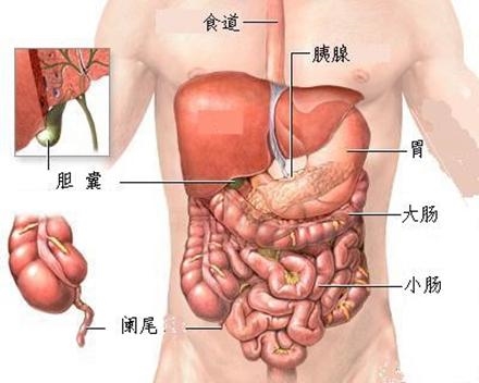 內臟損傷