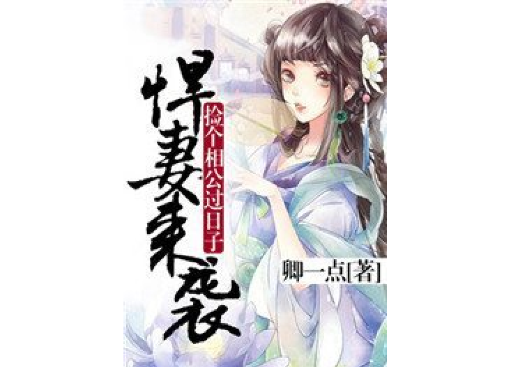 悍妻來襲：撿個相公過日子