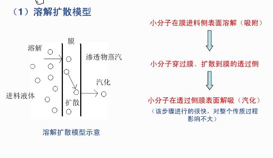 滲透蒸發