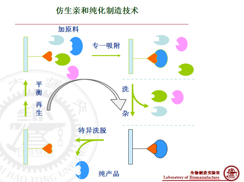 HPLC在藥物和生物分子分離純化中的套用研究