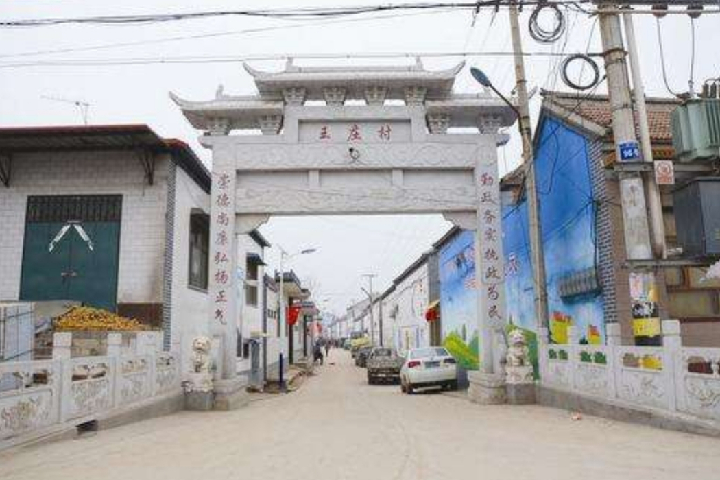 王莊村(山東省菏澤市巨野縣柳林鎮下轄村)