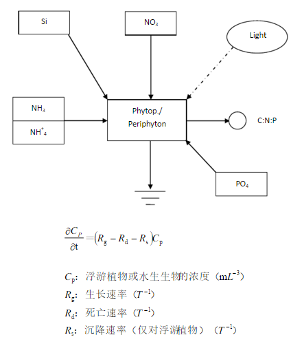 水模型