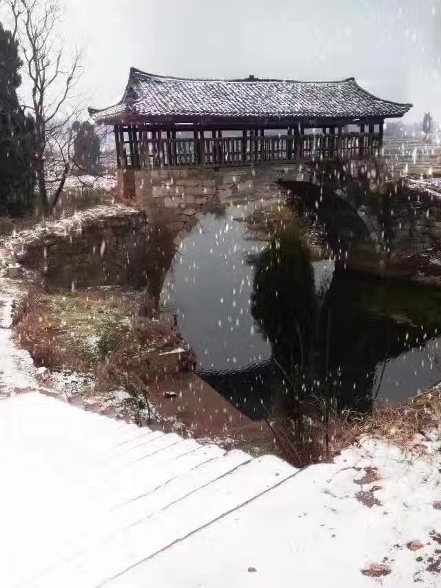 板溪村(湖南省桂陽縣流峰鎮下轄村)