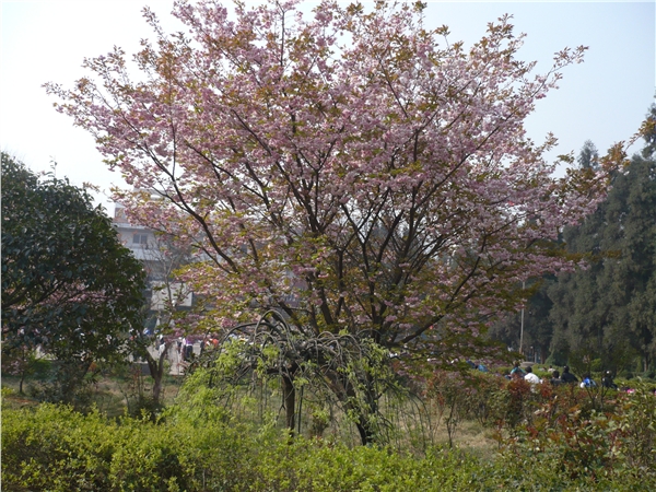 盤縣六中校園風貌