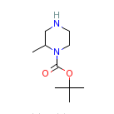 (R)-1-N-Boc-2-甲基哌嗪