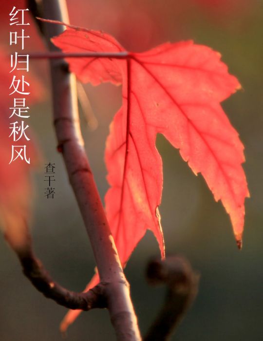 紅葉歸處是秋風