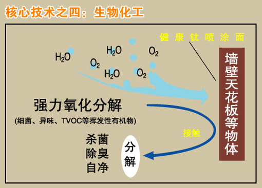 健康鈦