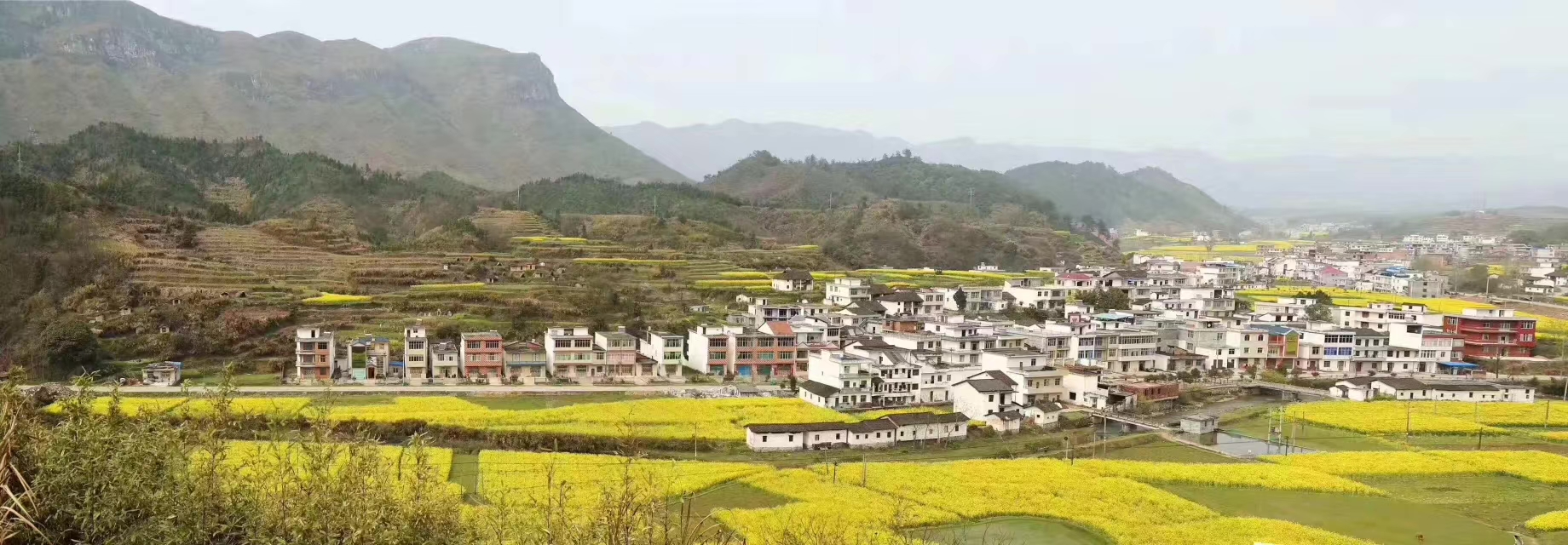 祖居大屋全景