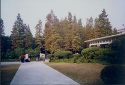 上海天原公園