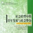 社會轉型中的青年發展與社會整合