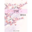 寧珂(酸柴油創作的網路小說作品)