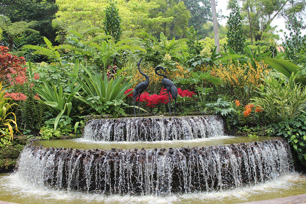 聖彼得堡植物園