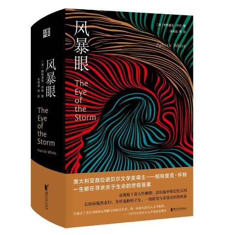 風暴眼(2020年浙江文藝出版社出版的圖書)