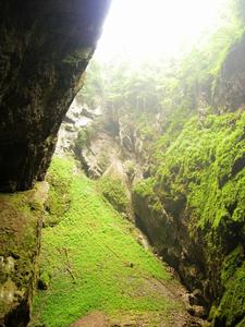 布爾諾(布爾諾市)