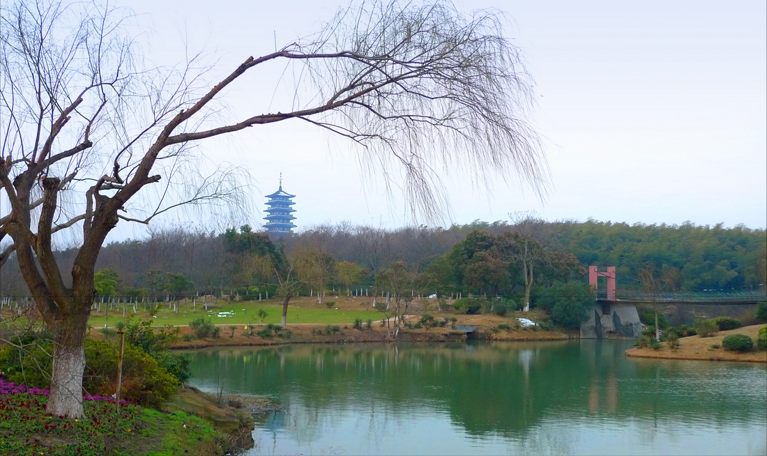 龍背山森林公園