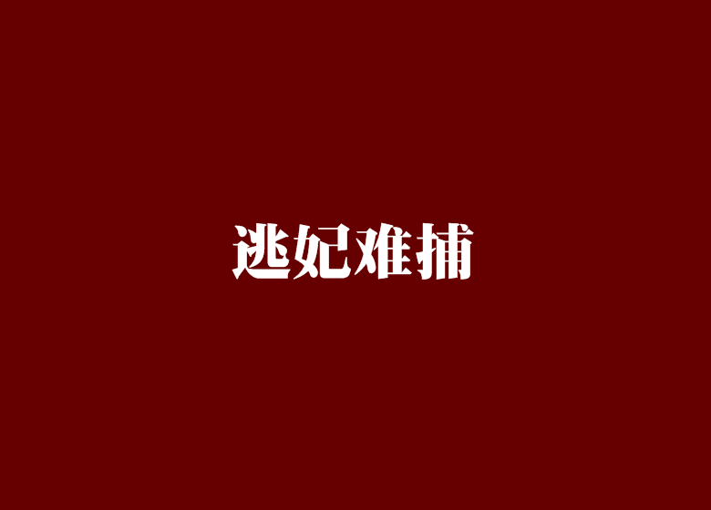 逃妃難捕