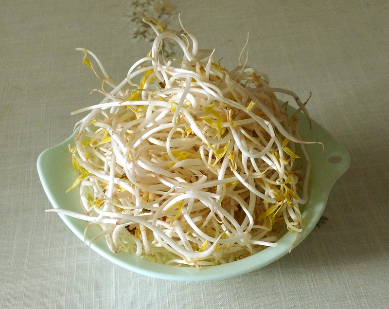 榨菜豆芽肉絲湯