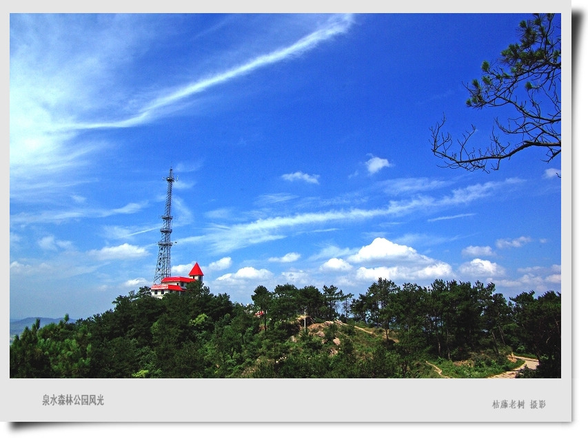 泉水寨森林公園