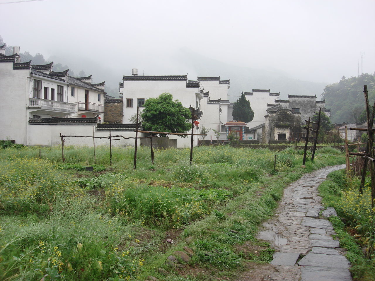 胡家村(雲南省尋甸縣河口鄉下轄村)