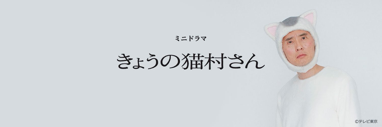 今日的貓村小姐