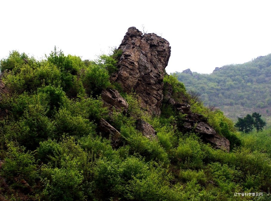 仙翁山森林公園