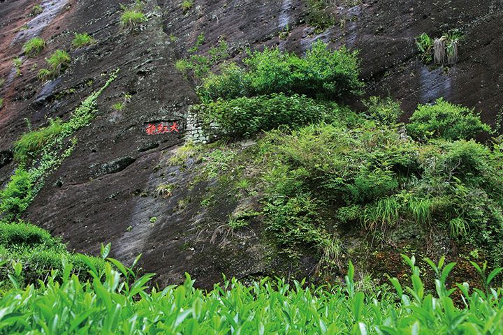 南平市武夷山風景名勝區