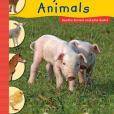 Baby Farm Animals(Grimm, Sandra著圖書)