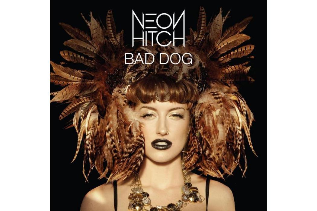 Bad Dog(2011年Neon Hitch演唱的歌曲)