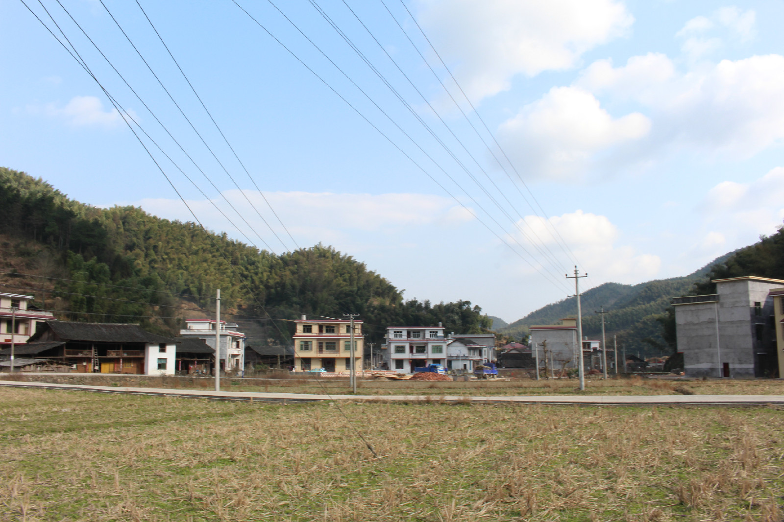 泡桐村