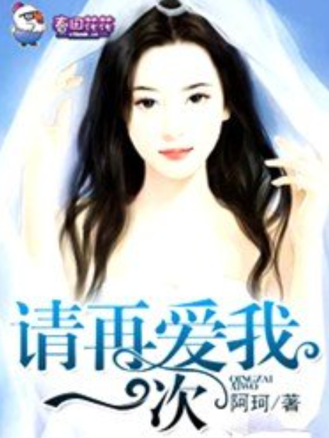 請再愛我一次(阿珂所著小說)