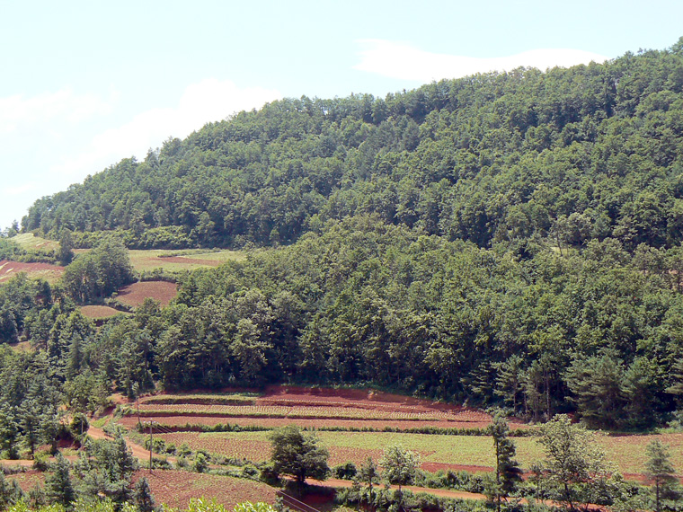 茨塘子村