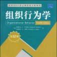 組織行為學(多學科多層次相交叉的邊緣性學科)