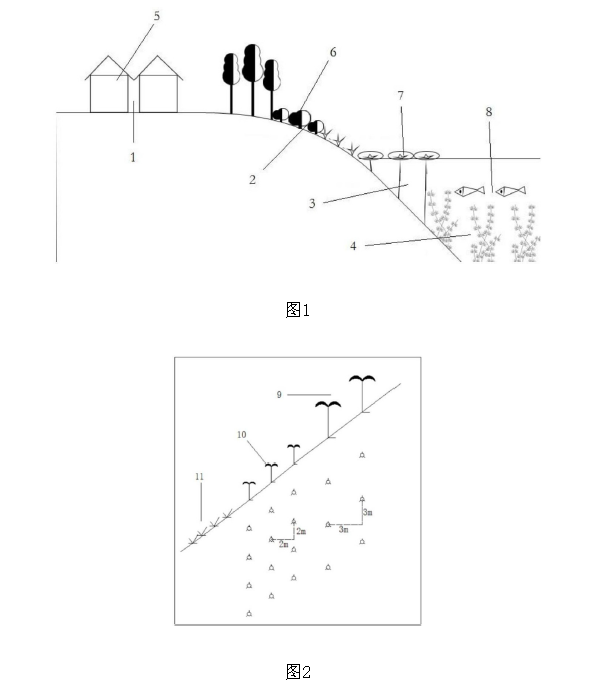 一種採煤沉陷積水區生態農業重構方法