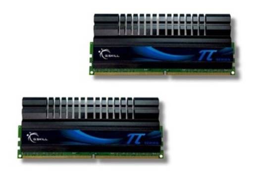 芝奇4GB DDR2 1100